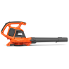120IBV